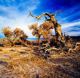 Roguelite第一人称射击游戏《Bear It》发布宣传预告